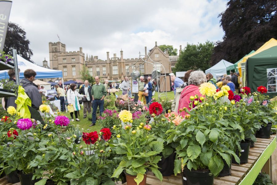 East Midlands Flower Show returns to Newstead Abbey in July My